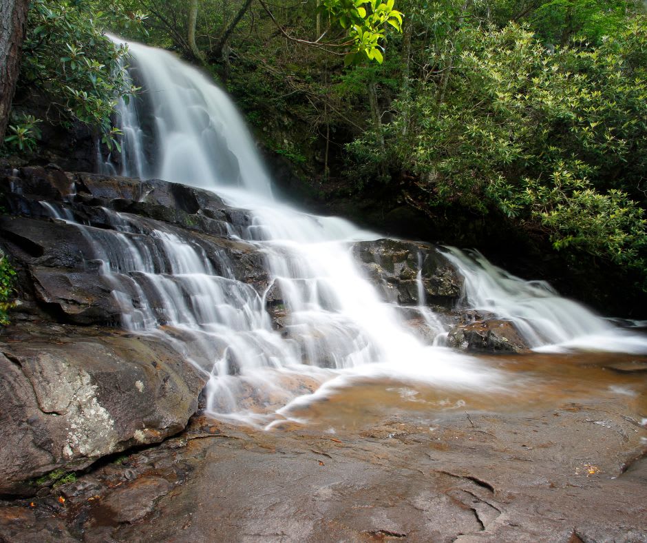 Great Smokey Mountains